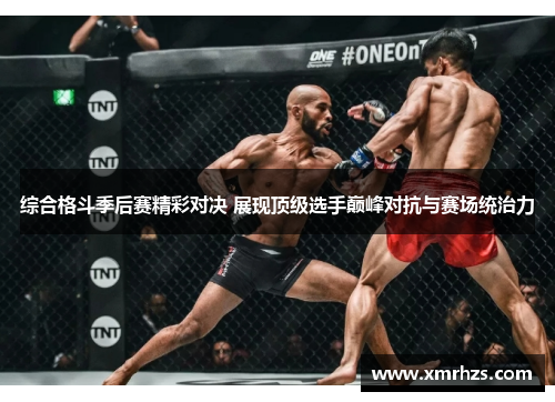 综合格斗季后赛精彩对决 展现顶级选手巅峰对抗与赛场统治力