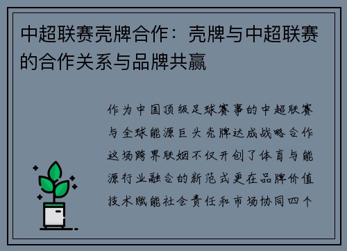 中超联赛壳牌合作：壳牌与中超联赛的合作关系与品牌共赢