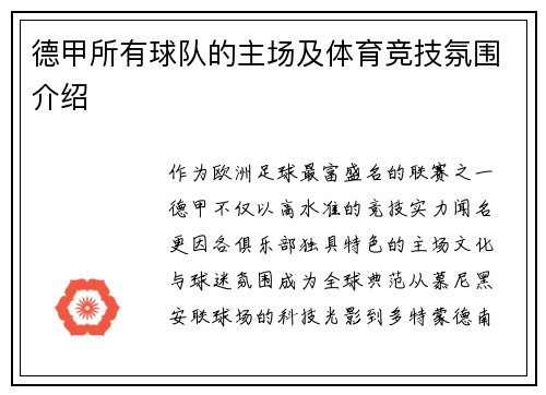 德甲所有球队的主场及体育竞技氛围介绍